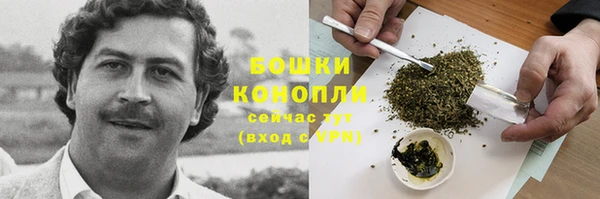 ПСИЛОЦИБИНОВЫЕ ГРИБЫ Бронницы