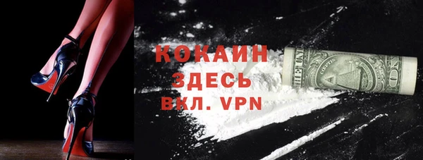 прущие грибы Богородицк