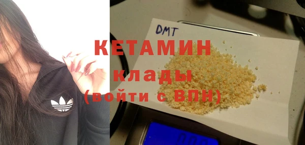 прущие грибы Богородицк
