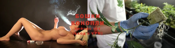 spice Богородск