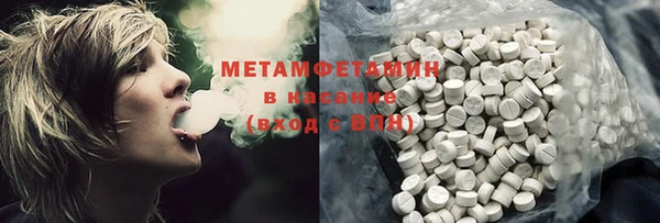 прущие грибы Богородицк