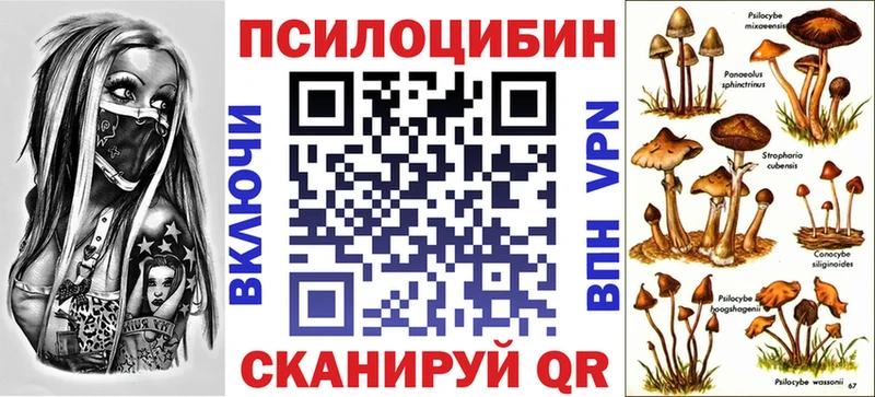 Псилоцибиновые грибы GOLDEN TEACHER  купить  цена  Салават 